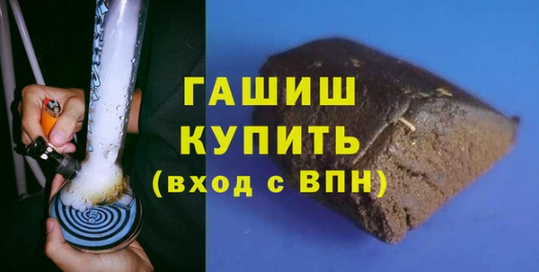 индика Саяногорск