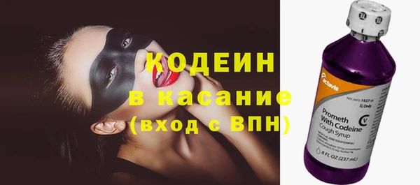 индика Саяногорск