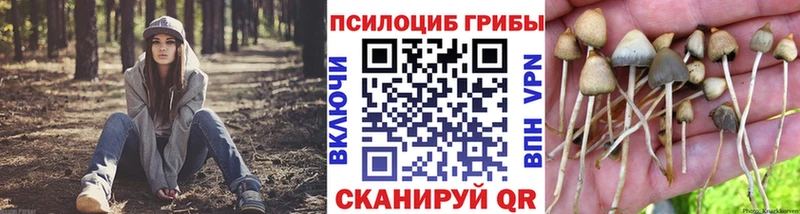 Псилоцибиновые грибы ЛСД  Александровск 